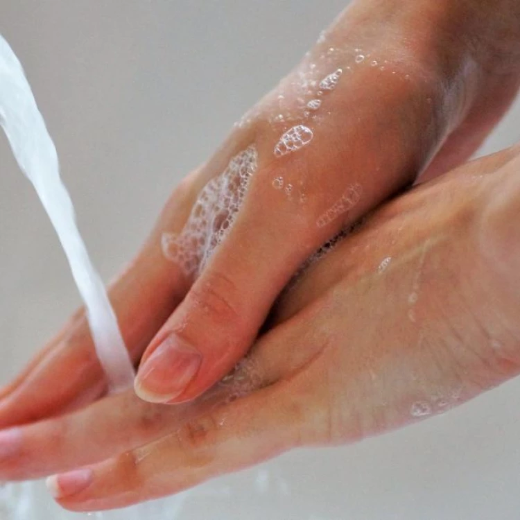 Imagen relacionada de la comunidad de madrid premia iniciativas sobre higiene de manos en centros sanitarios