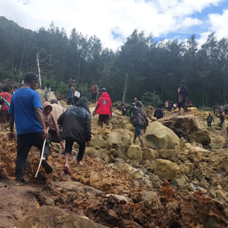 Imagen relacionada de devastador deslizamiento de tierra en papua nueva guinea deja mas de 670 muertos