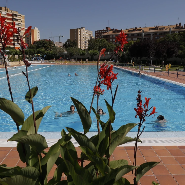 Imagen relacionada de exito piscinas municipales zaragoza julio