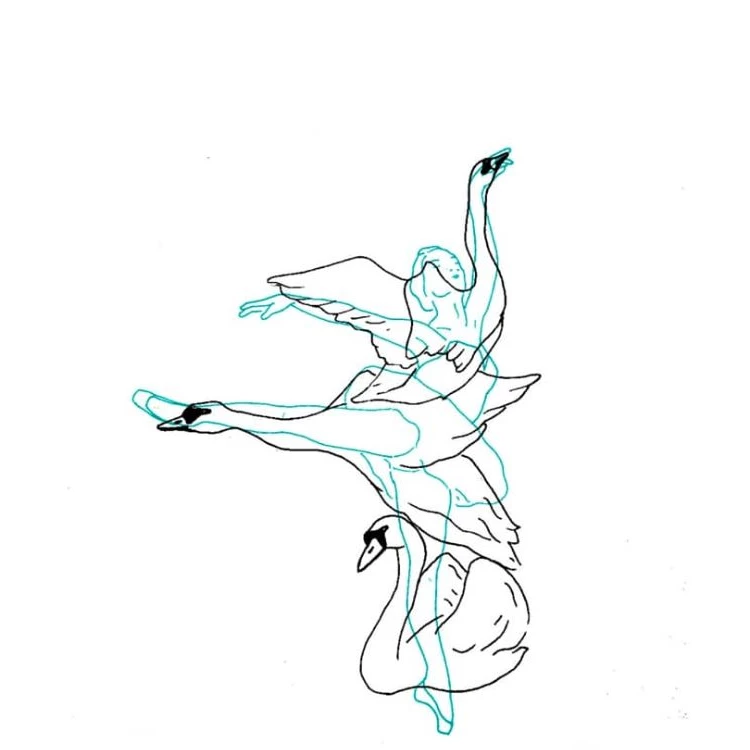 Imagen relacionada de plazo inscripcion conservatorio municipal danza zaragoza