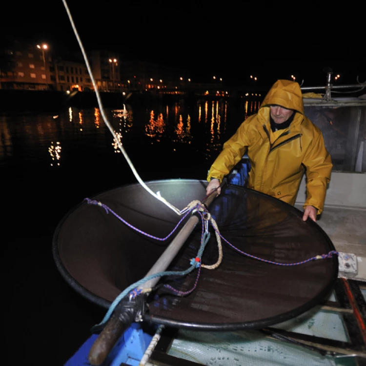 Imagen relacionada de nueva regulacion pesca angula euskadi