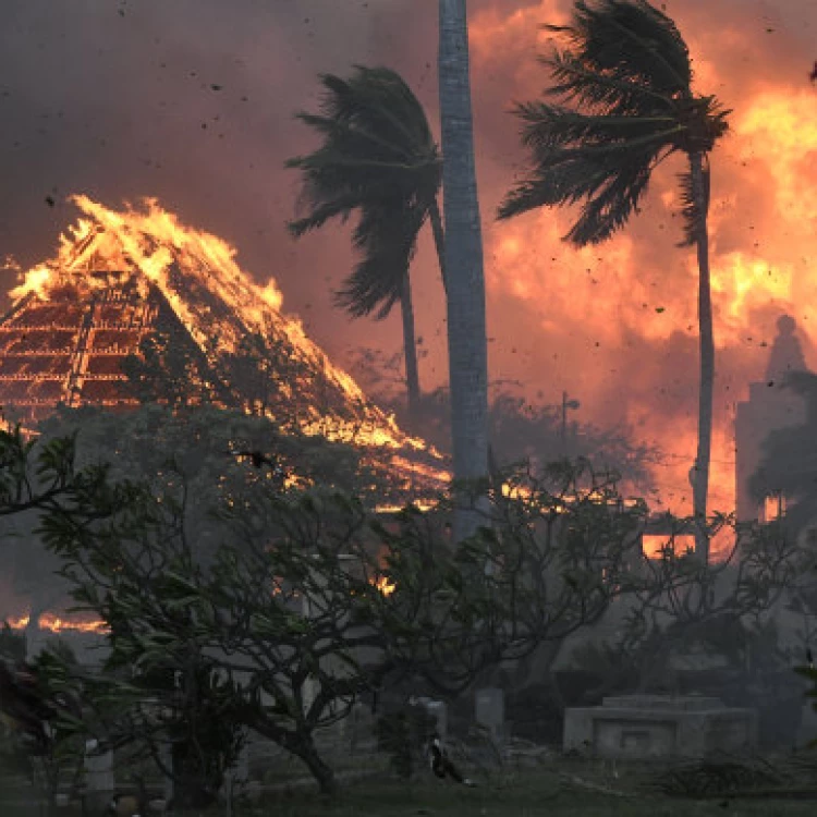 Imagen relacionada de devastador incendio en lahaina hawaii