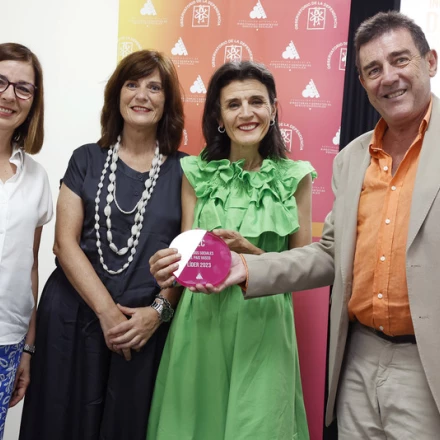 Imagen relacionada de euskadi lidera servicios sociales premio excelencia 2023