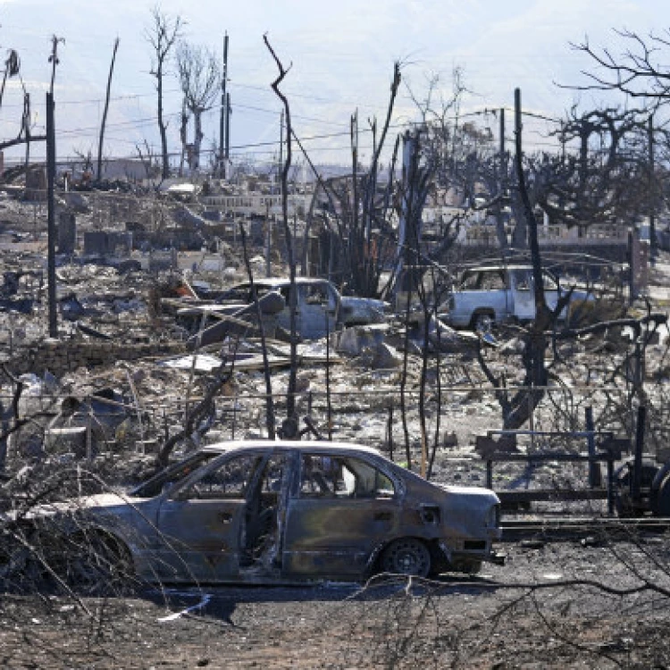 Imagen relacionada de tragedia en hawaii decenas de victimas mortales en incendio forestal