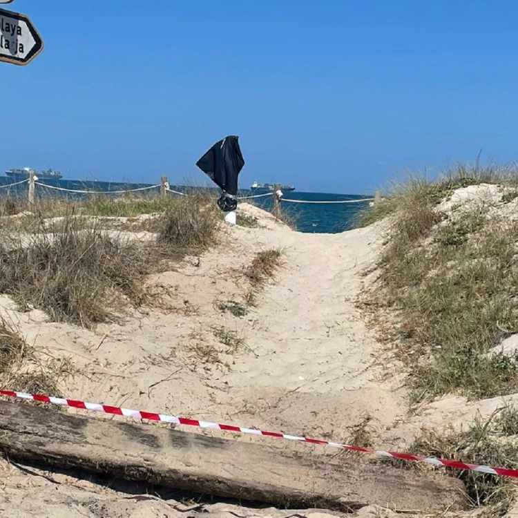 Imagen relacionada de ayuntamiento valencia sustituye pasarelas acceso playa saler