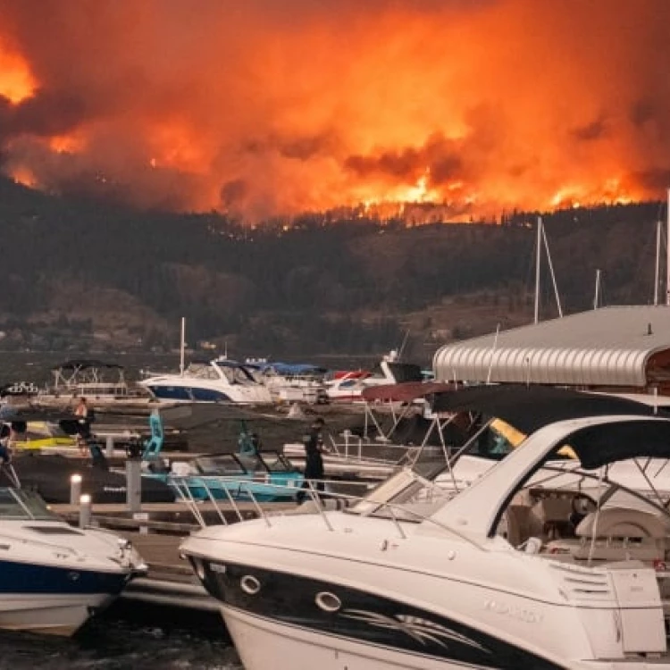 Imagen relacionada de incendios en columbia britanica expertos advierten falta prevencion mitigacion incendios forestales
