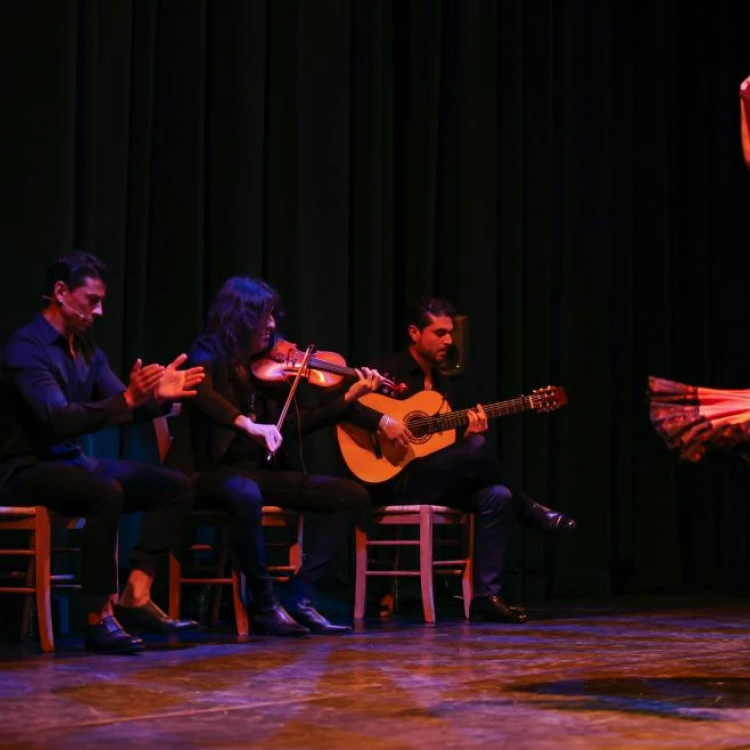 Imagen relacionada de comunidad madrid presenta festival suma flamenca