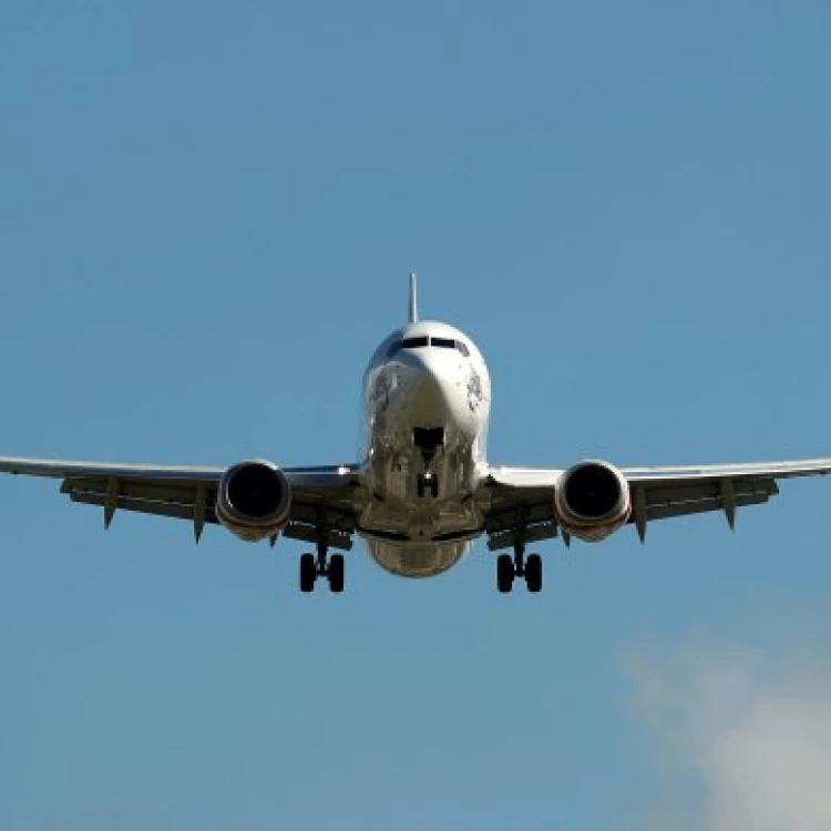 Imagen relacionada de industria aviacion busca soluciones sostenibles neutralidad carbono
