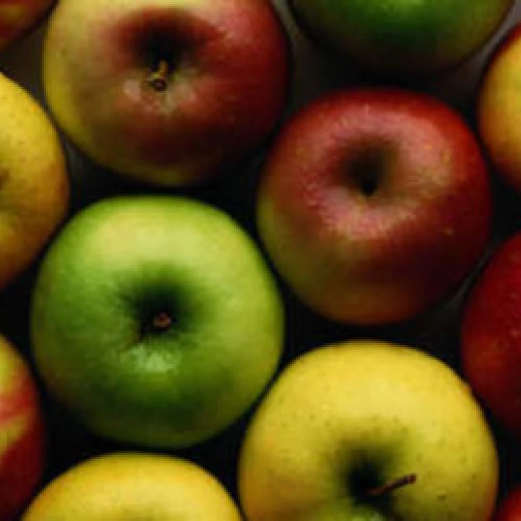Imagen relacionada de nueva variedad de manzana