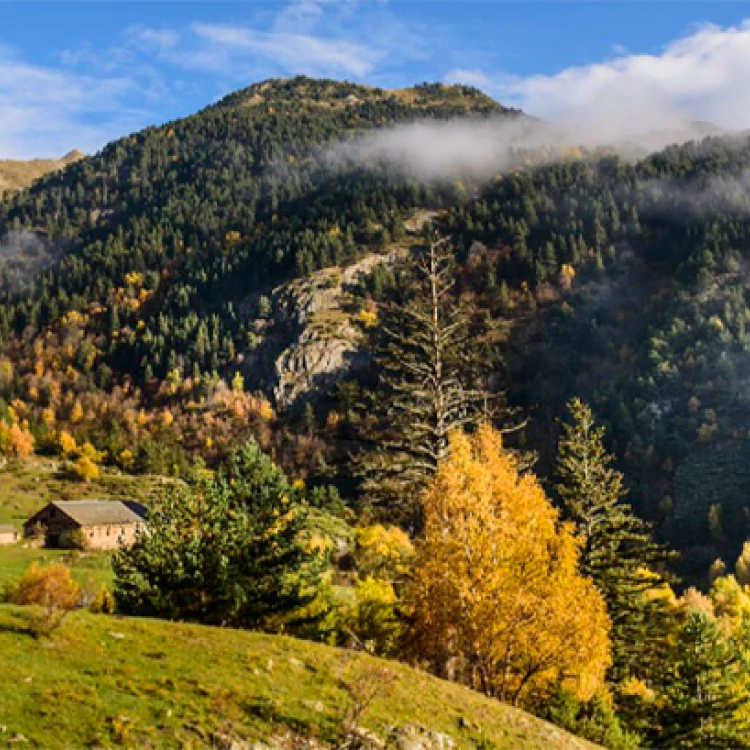 Imagen relacionada de proyecto pyrenees4clima iniciativa europea para abordar el cambio climatico en los pirineos