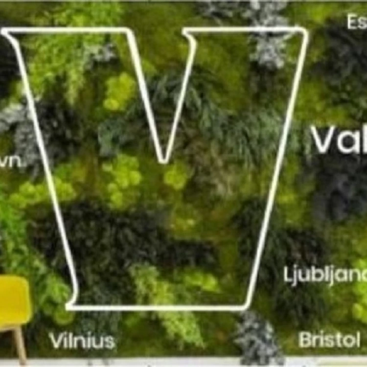 Imagen relacionada de gran mural natural ceremonia apertura capitalidad verde europea 2024 valencia