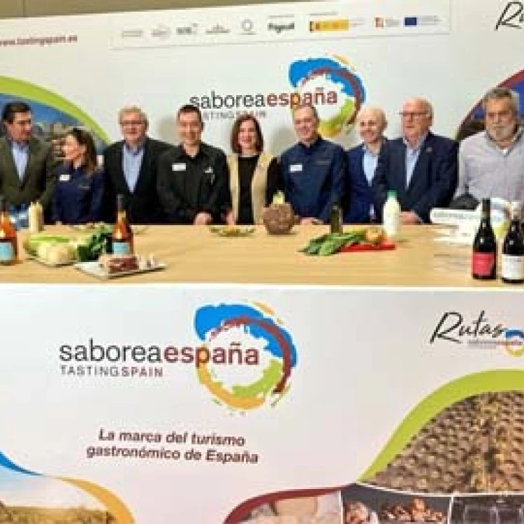 Imagen relacionada de presentacion proyecto gastronomico saborea zaragoza