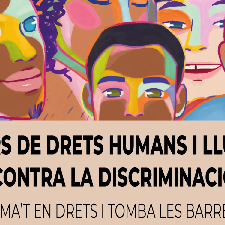 Imagen relacionada de el ayuntamiento de valencia promueve la formacion en derechos humanos e igualdad