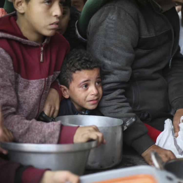 Imagen relacionada de grave crisis de hambruna en la franja de gaza miles de palestinos en peligro