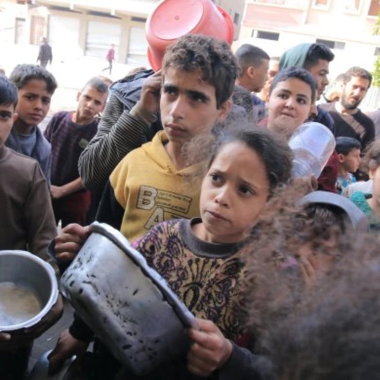 Imagen relacionada de la onu intenta reanudar entregas de alimentos a gaza mientras se acerca la hambruna