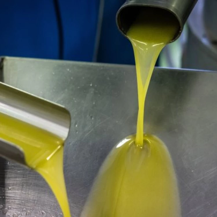Imagen relacionada de robo aceite oliva espana