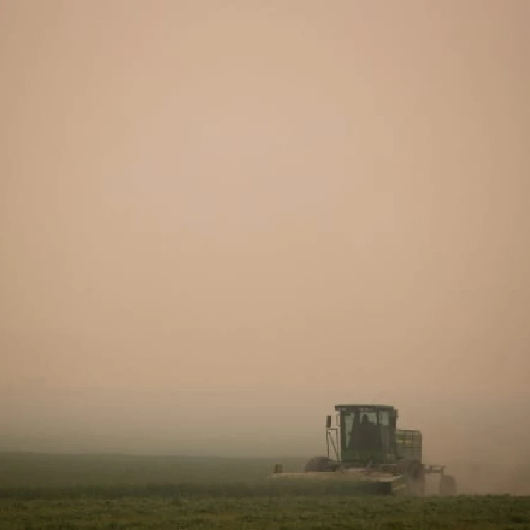 Imagen relacionada de tecnologia agricultores granos clima columbia britanica