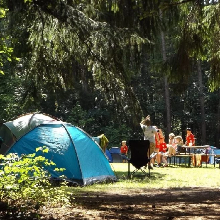 Imagen relacionada de la comunidad de madrid ofrece 950 plazas en 32 campamentos de verano para jovenes