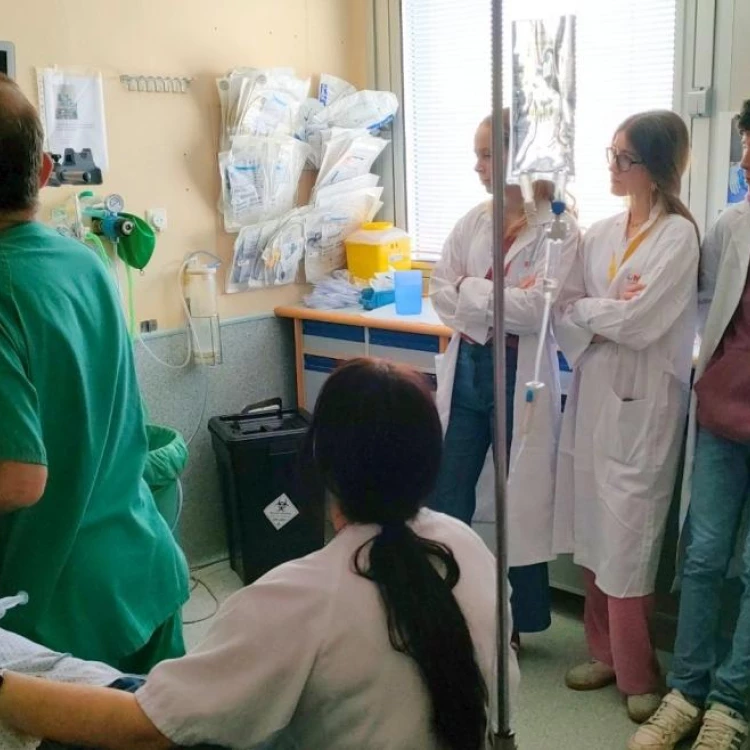 Imagen relacionada de 65 alumnos 22 centros visitn hospital severo ochoa madrid