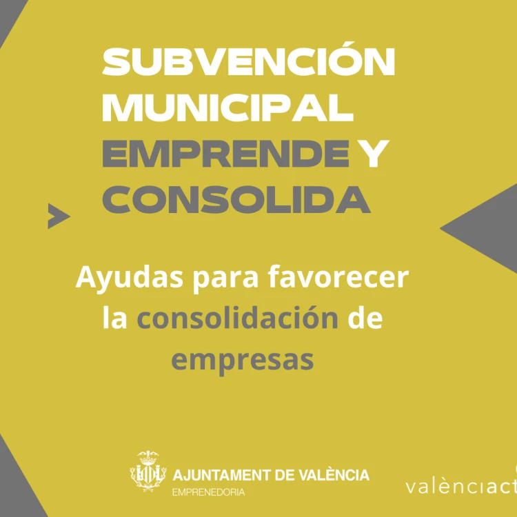 Imagen relacionada de ayuntamiento valencia impulsa consolidacion empresarial