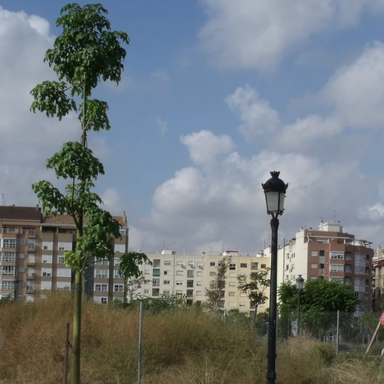 Imagen relacionada de ayuntamiento valencia invierte mejoras barrio san isidro