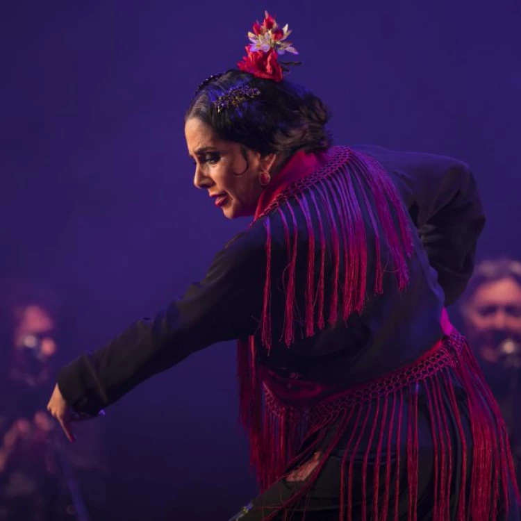 Imagen relacionada de festival suma flamenca madrid celebra xix edicion