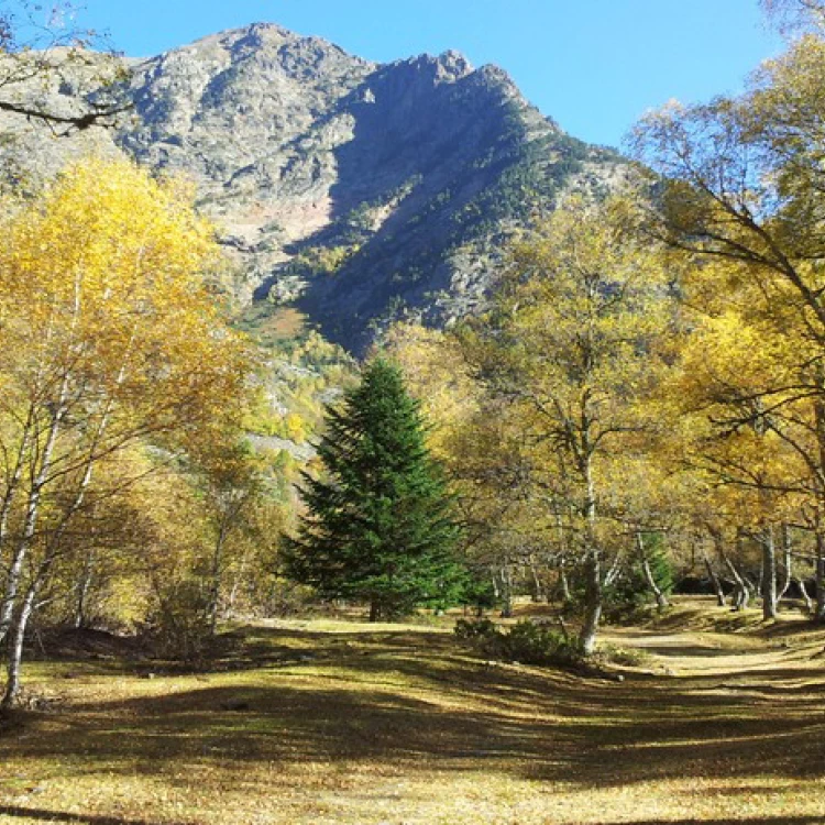 Imagen relacionada de novena edicion festivales senderismo pirineos