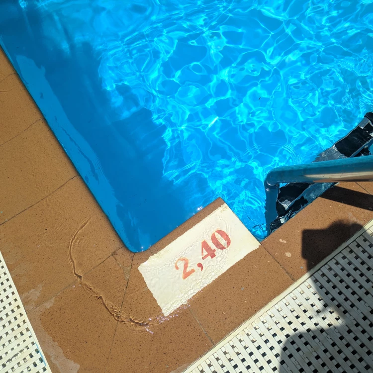 Imagen relacionada de zaragoza deporte cursos natacion verano